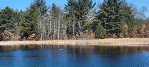 Tiny photo for L55 19th Creek, Arkdale, WI 54613 (MLS # 1966805)