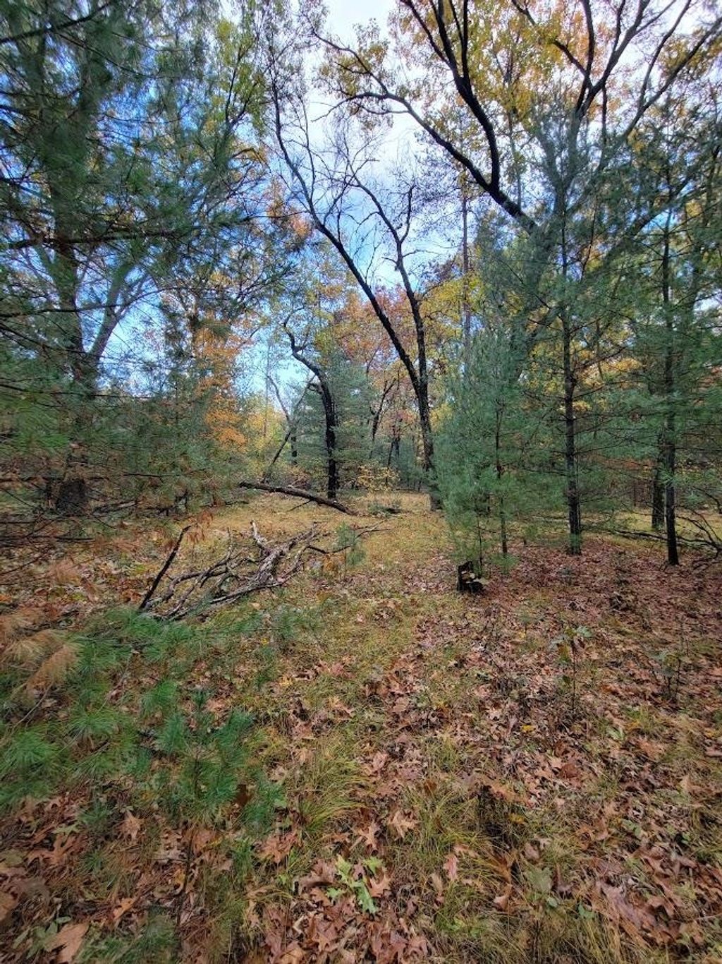 Photo for L55 19th Creek, Arkdale, WI 54613 (MLS # 1966805)