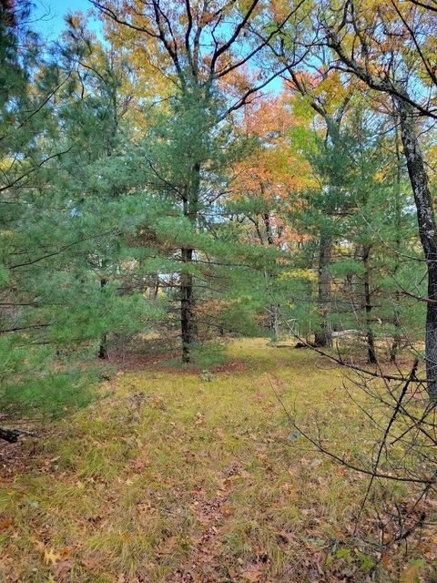 Tiny photo for L55 19th Creek, Arkdale, WI 54613 (MLS # 1966805)