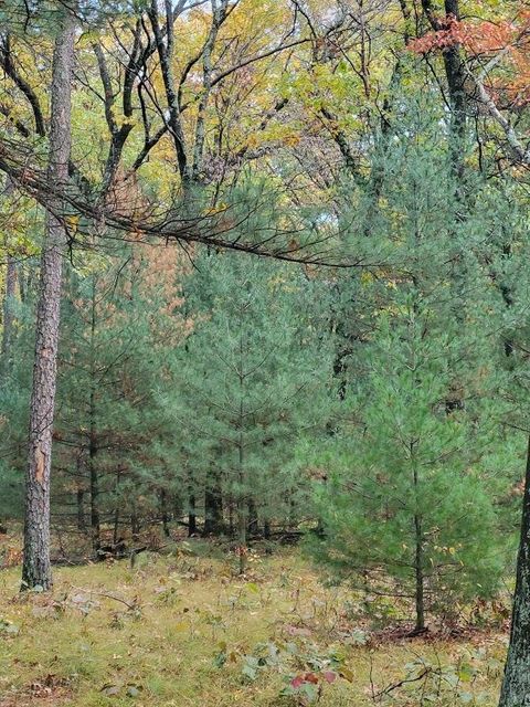Tiny photo for L55 19th Creek, Arkdale, WI 54613 (MLS # 1966805)
