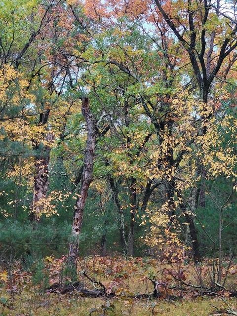 Tiny photo for L55 19th Creek, Arkdale, WI 54613 (MLS # 1966805)