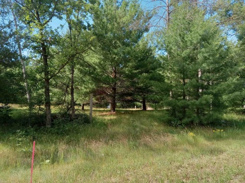 Photo of 1673 Campfire Road, Nekoosa, WI 54457 (MLS # 2026394)