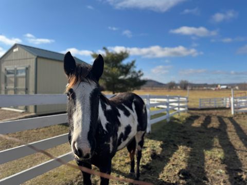 Photo of 28632 County Hwy BA, Richland Center, WI 53581 (MLS # 2014652)