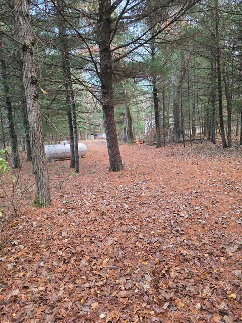 Tiny photo for 1129 Gale Avenue, Wisconsin Dells, WI 53965 (MLS # 2011302)