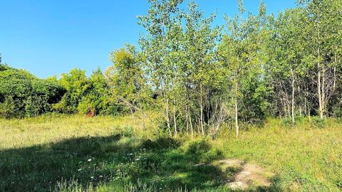 Tiny photo for Lot 2 Chula Vista Parkway, Wisconsin Dells, WI 53965 (MLS # 1962792)