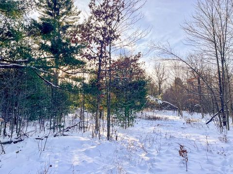 Tiny photo for 000 County Rd A Road, Grand Marsh, WI 53936 (MLS # 2013594)