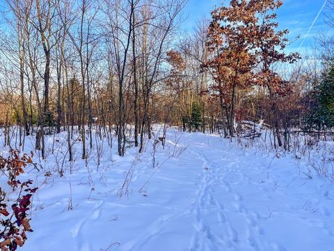 Tiny photo for 000 County Rd A Road, Grand Marsh, WI 53936 (MLS # 2013594)
