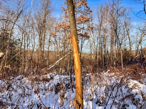 Tiny photo for 000 County Rd A Road, Grand Marsh, WI 53936 (MLS # 2013594)