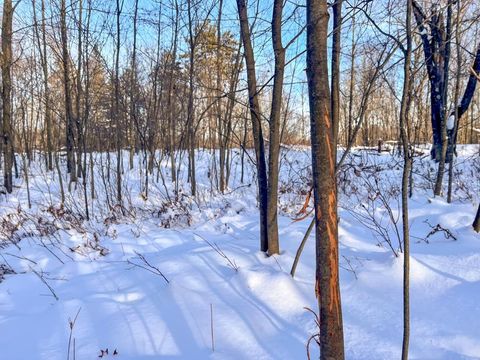 Tiny photo for 000 County Rd A Road, Grand Marsh, WI 53936 (MLS # 2013594)