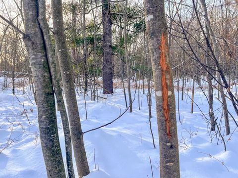 Tiny photo for 000 County Rd A Road, Grand Marsh, WI 53936 (MLS # 2013594)