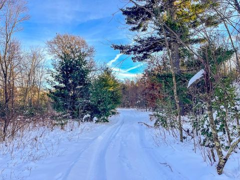 Tiny photo for 000 County Rd A Road, Grand Marsh, WI 53936 (MLS # 2013594)