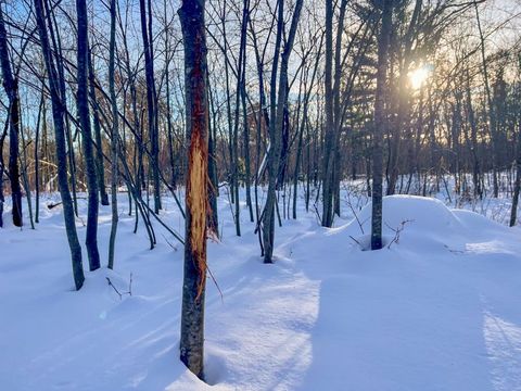 Tiny photo for 000 County Rd A Road, Grand Marsh, WI 53936 (MLS # 2013594)