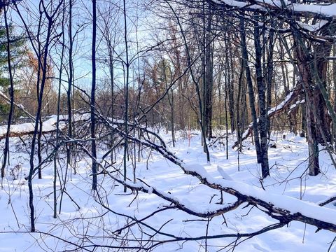 Tiny photo for 000 County Rd A Road, Grand Marsh, WI 53936 (MLS # 2013594)