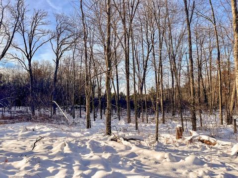 Tiny photo for 000 County Rd A Road, Grand Marsh, WI 53936 (MLS # 2013594)