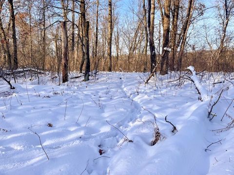Tiny photo for 000 County Rd A Road, Grand Marsh, WI 53936 (MLS # 2013594)