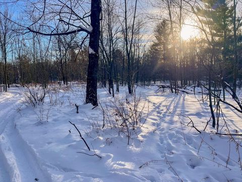 Tiny photo for 000 County Rd A Road, Grand Marsh, WI 53936 (MLS # 2013594)