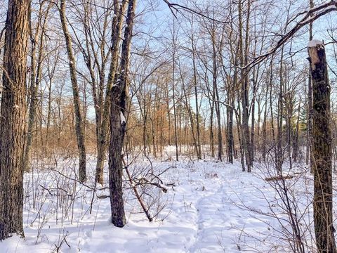Tiny photo for 000 County Rd A Road, Grand Marsh, WI 53936 (MLS # 2013594)
