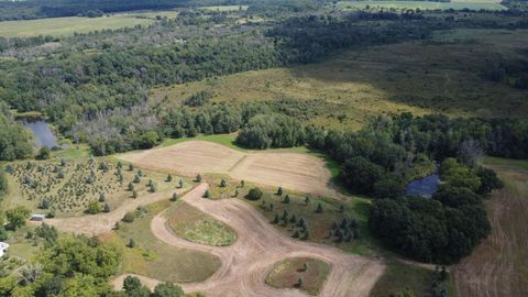 Tiny photo for N6576 County Road N, Princeton, WI 54968 (MLS # 2007516)