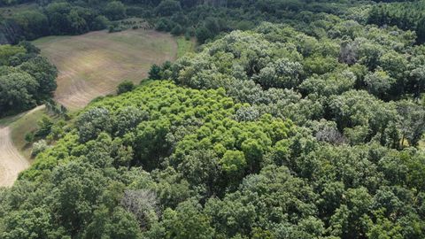 Tiny photo for N6576 County Road N, Princeton, WI 54968 (MLS # 2007516)