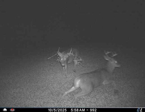 Tiny photo for N6576 County Road N, Princeton, WI 54968 (MLS # 2007516)