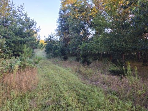 Tiny photo for N6576 County Road N, Princeton, WI 54968 (MLS # 2007516)