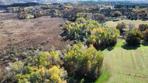 Tiny photo for N6576 County Road N, Princeton, WI 54968 (MLS # 2007516)