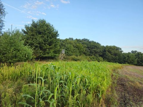 Tiny photo for N6576 County Road N, Princeton, WI 54968 (MLS # 2007516)