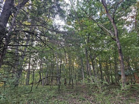Tiny photo for N6576 County Road N, Princeton, WI 54968 (MLS # 2007516)