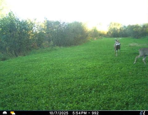 Tiny photo for N6576 County Road N, Princeton, WI 54968 (MLS # 2007516)