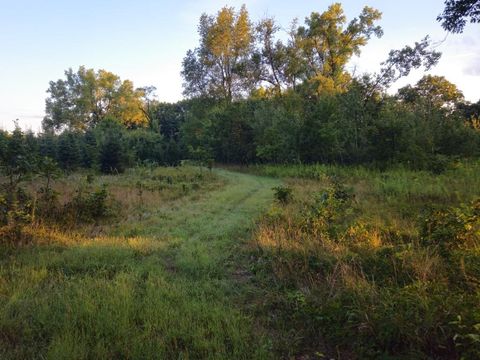 Tiny photo for N6576 County Road N, Princeton, WI 54968 (MLS # 2007516)