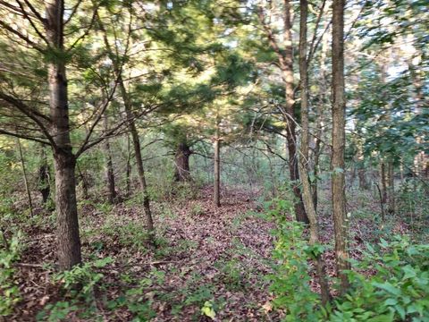 Tiny photo for N6576 County Road N, Princeton, WI 54968 (MLS # 2007516)