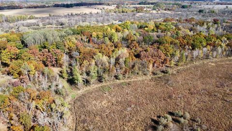 Tiny photo for N6576 County Road N, Princeton, WI 54968 (MLS # 2007516)