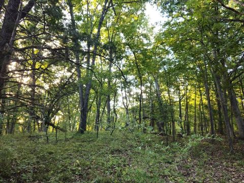 Tiny photo for N6576 County Road N, Princeton, WI 54968 (MLS # 2007516)