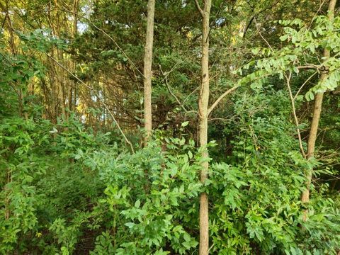 Tiny photo for N6576 County Road N, Princeton, WI 54968 (MLS # 2007516)