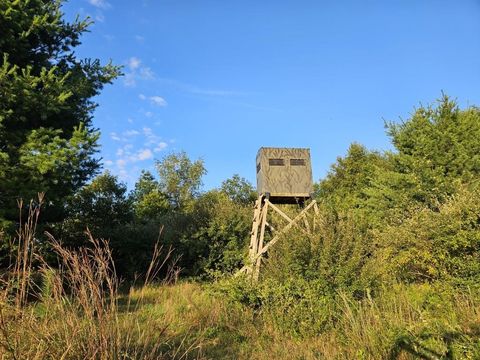 Tiny photo for N6576 County Road N, Princeton, WI 54968 (MLS # 2007516)