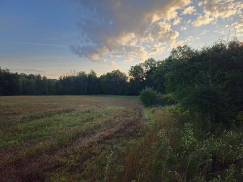 Tiny photo for N6576 County Road N, Princeton, WI 54968 (MLS # 2007516)