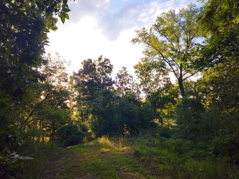 Tiny photo for N6576 County Road N, Princeton, WI 54968 (MLS # 2007516)