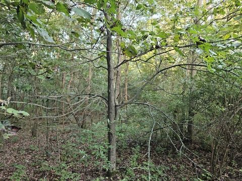 Tiny photo for N6576 County Road N, Princeton, WI 54968 (MLS # 2007516)