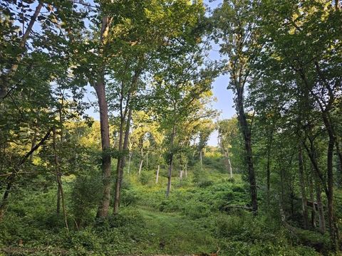Tiny photo for N6576 County Road N, Princeton, WI 54968 (MLS # 2007516)