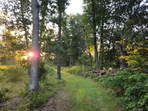 Tiny photo for N6576 County Road N, Princeton, WI 54968 (MLS # 2007516)