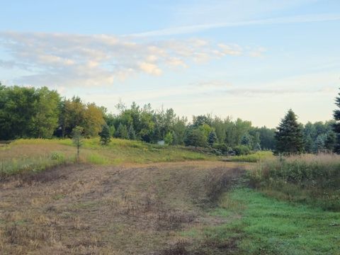 Tiny photo for N6576 County Road N, Princeton, WI 54968 (MLS # 2007516)