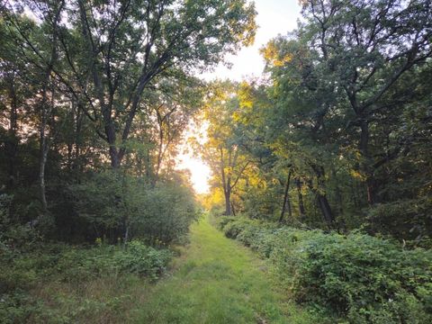 Tiny photo for N6576 County Road N, Princeton, WI 54968 (MLS # 2007516)