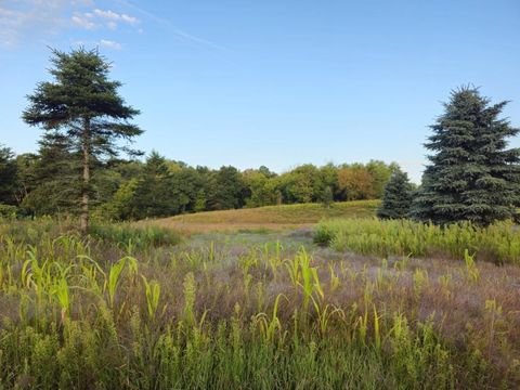 Tiny photo for N6576 County Road N, Princeton, WI 54968 (MLS # 2007516)