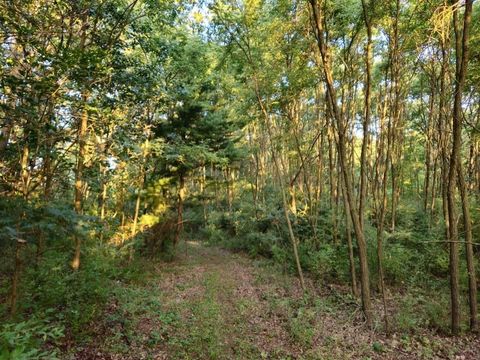 Tiny photo for N6576 County Road N, Princeton, WI 54968 (MLS # 2007516)