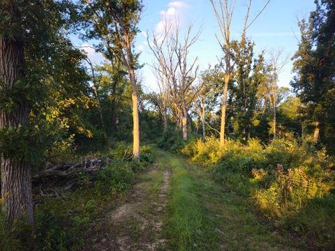 Tiny photo for N6576 County Road N, Princeton, WI 54968 (MLS # 2007516)