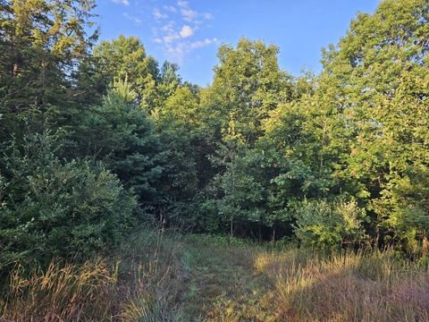 Tiny photo for N6576 County Road N, Princeton, WI 54968 (MLS # 2007516)