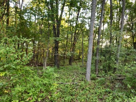 Tiny photo for N6576 County Road N, Princeton, WI 54968 (MLS # 2007516)