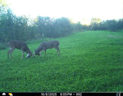 Tiny photo for N6576 County Road N, Princeton, WI 54968 (MLS # 2007516)