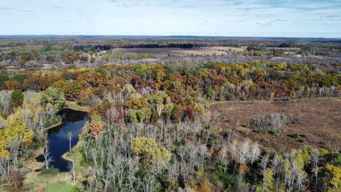 Tiny photo for N6576 County Road N, Princeton, WI 54968 (MLS # 2007516)