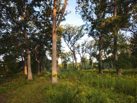 Tiny photo for N6576 County Road N, Princeton, WI 54968 (MLS # 2007516)